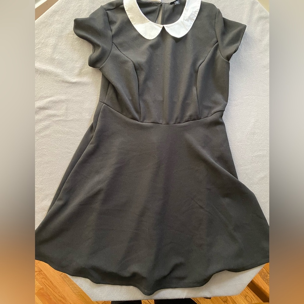 Peter Pan collar fit and flare dress